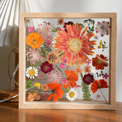 Pressed Flower Frame