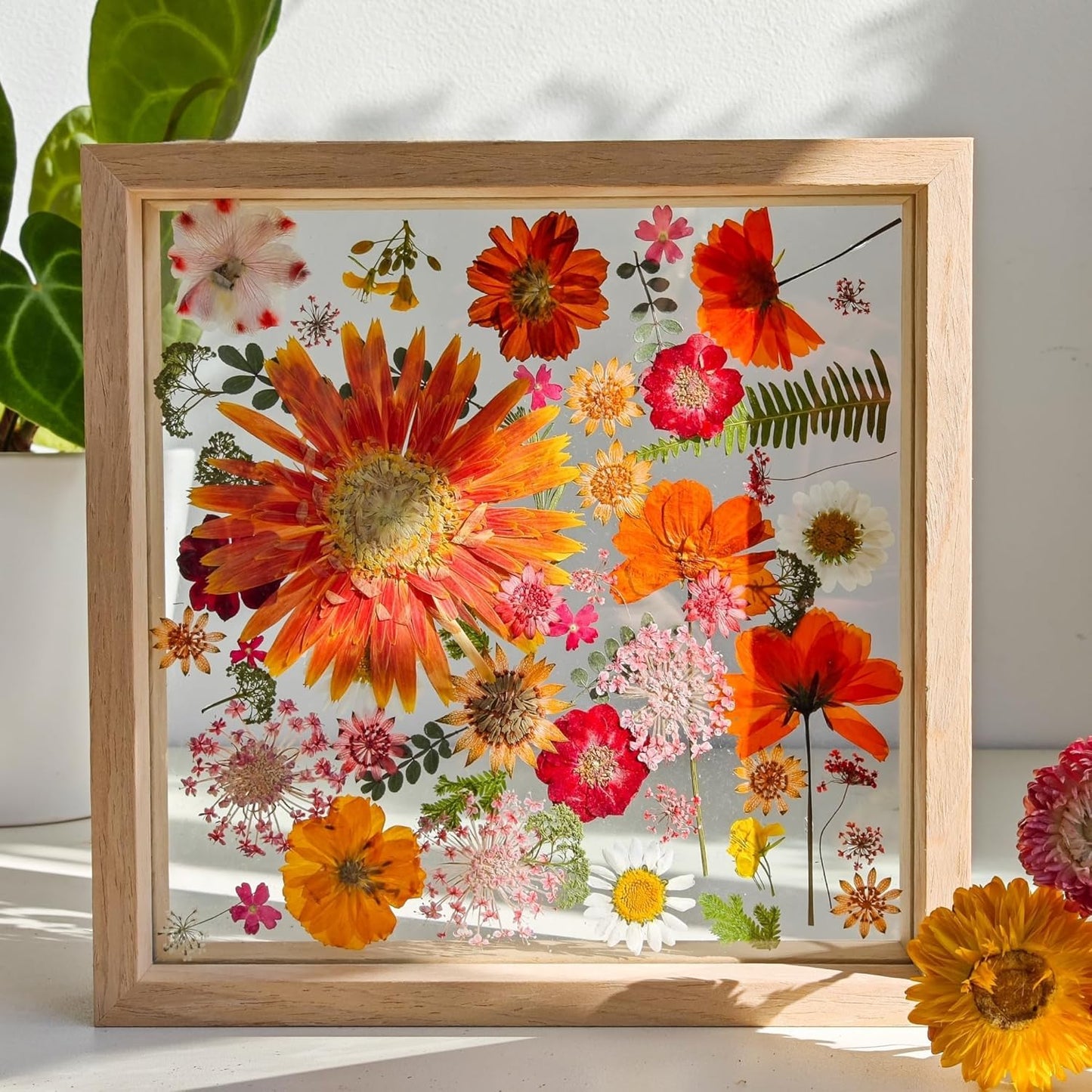 Pressed Flower Frame